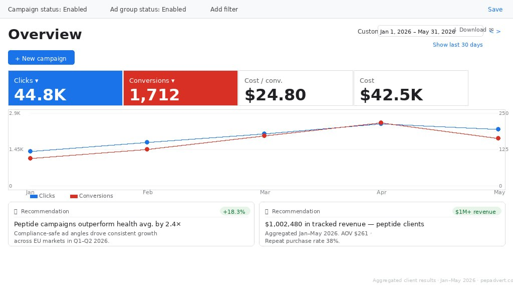 Google Ads overview dashboard
